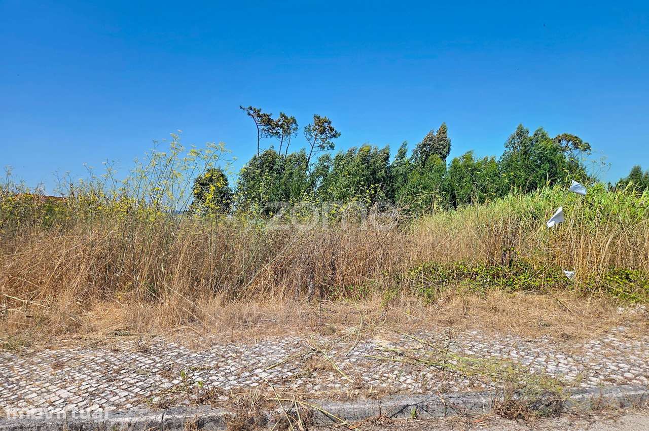Lote construção|Moradia Lavos| Oportunidade - Grande imagem: 5/19