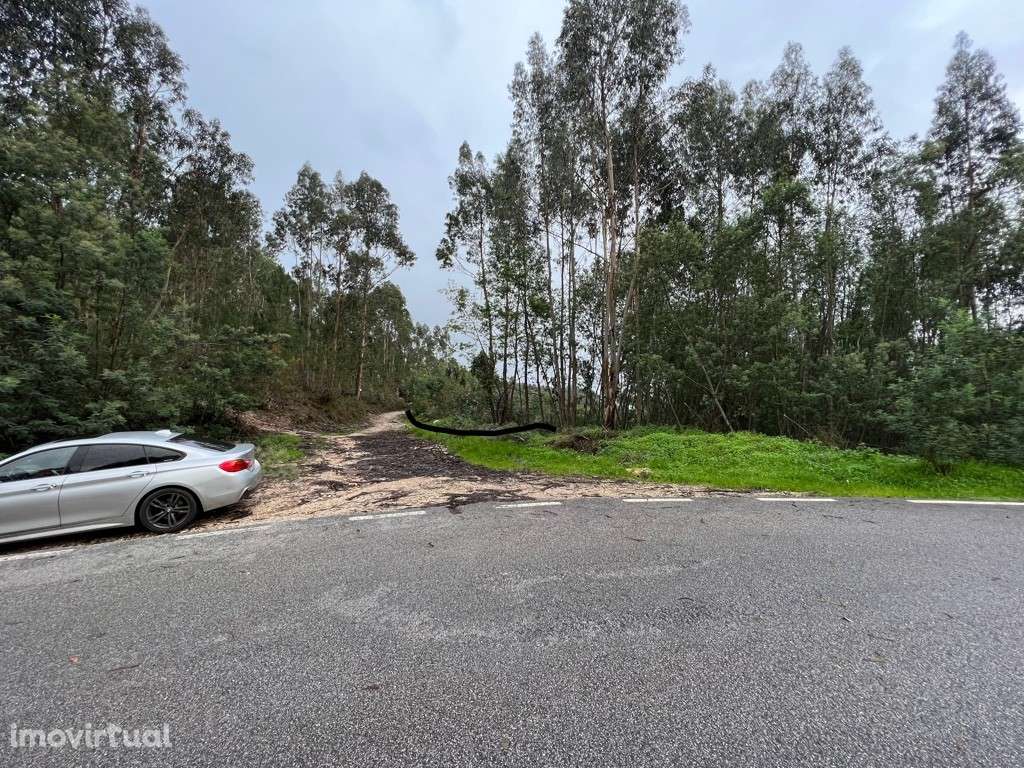 Terreno para construção em São Martinho do Bispo na zona do Avial - Grande imagem: 2/6