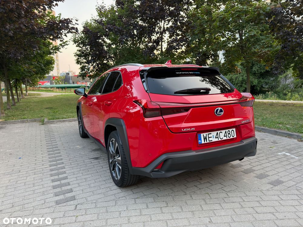 Lexus UX 250h GPF Business Edition 2WD - 7