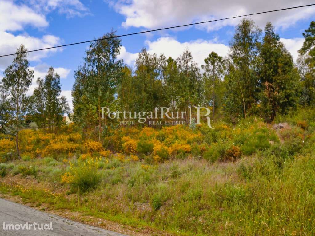 Terreno para construção de Moradia em Proença-a-Nova - Grande imagem: 5/19