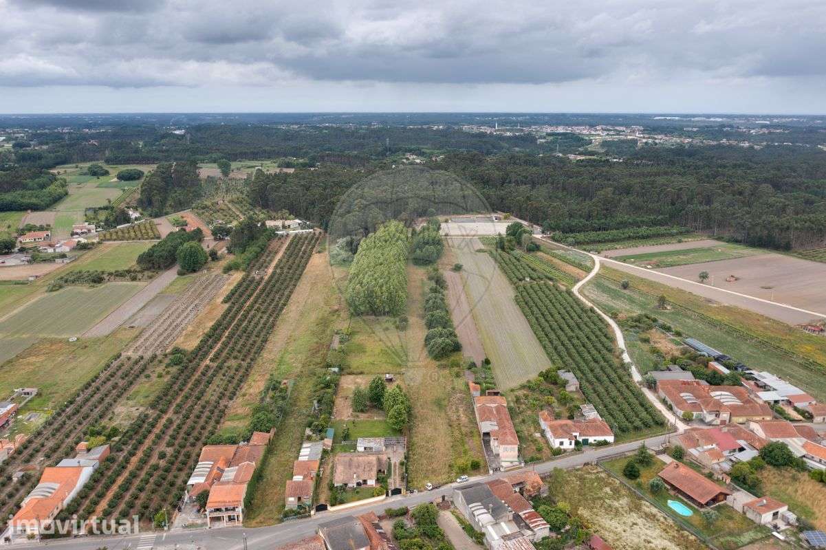 Terreno  para venda - Grande imagem: 3/8
