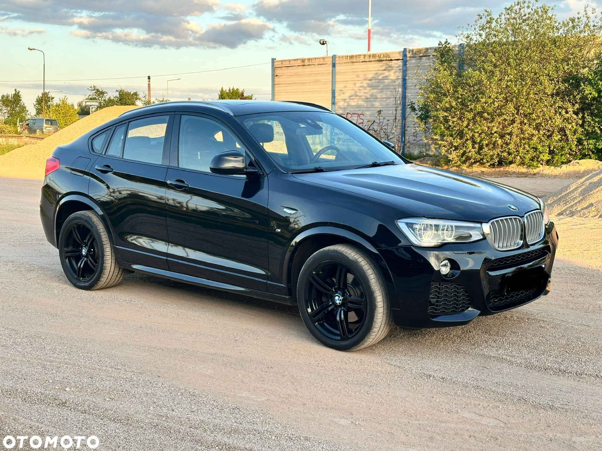 BMW X4 xDrive30d M Sport - 19