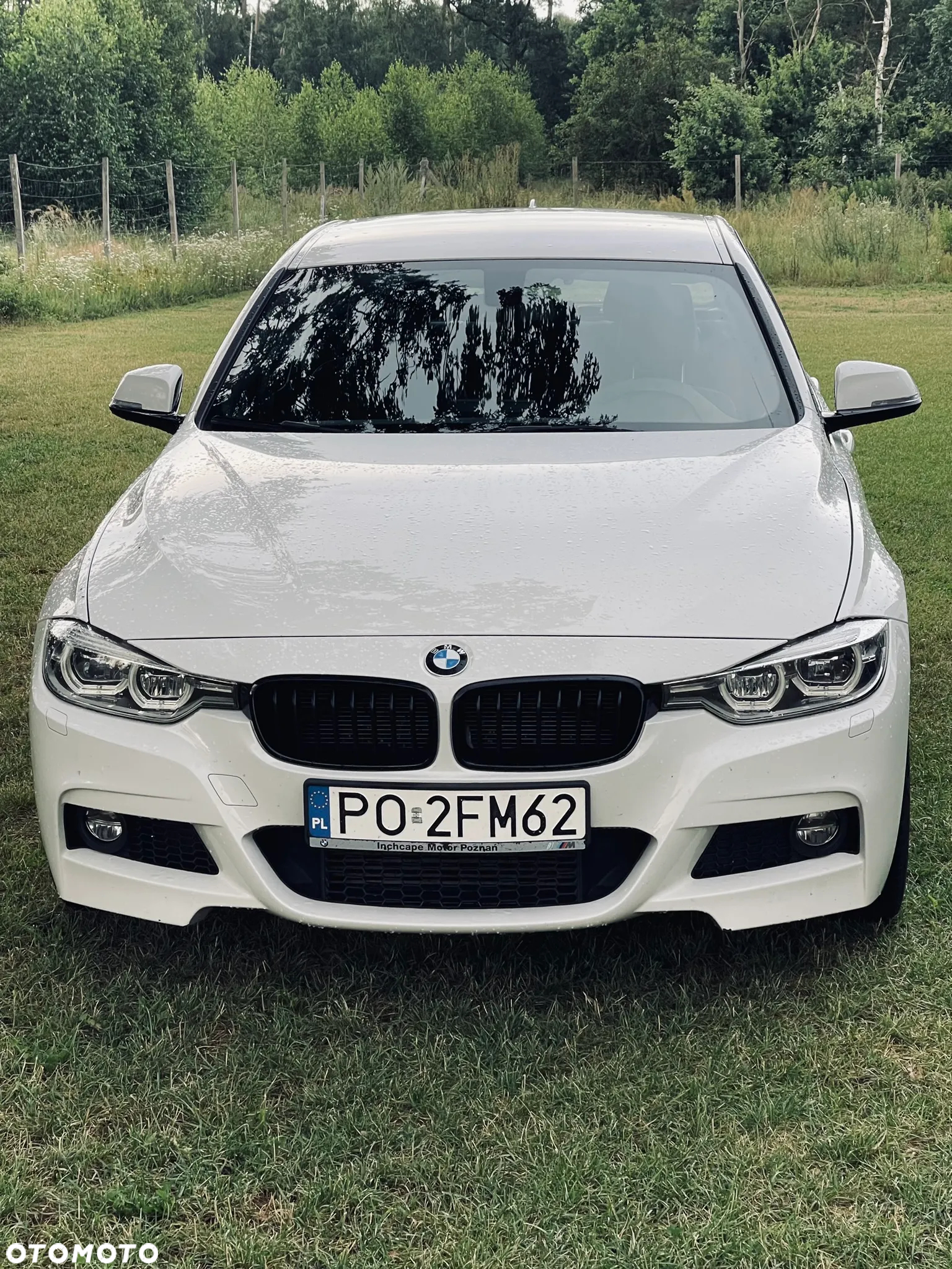 BMW Seria 3 318i M Sport - 5