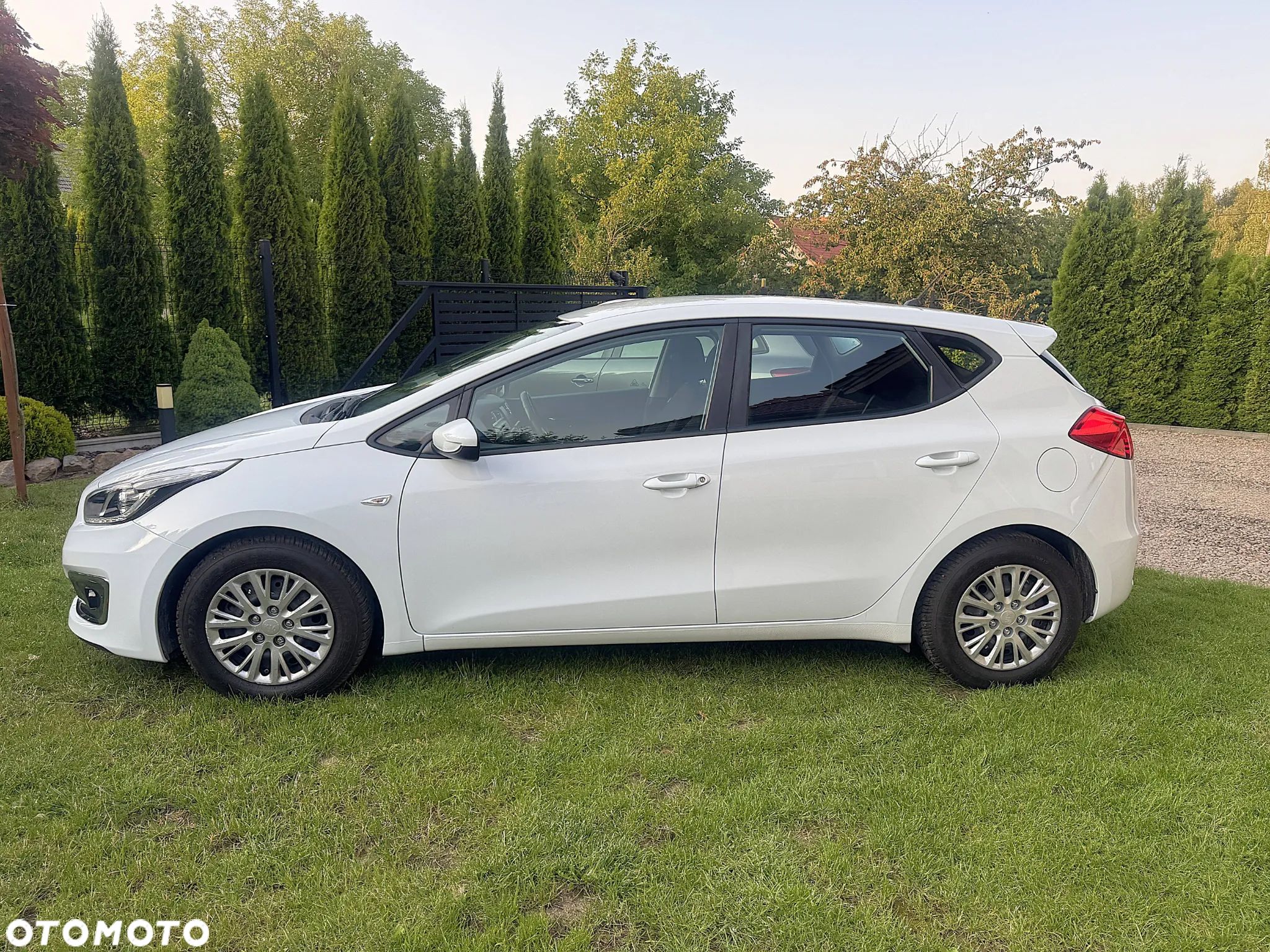 Kia Ceed - 1
