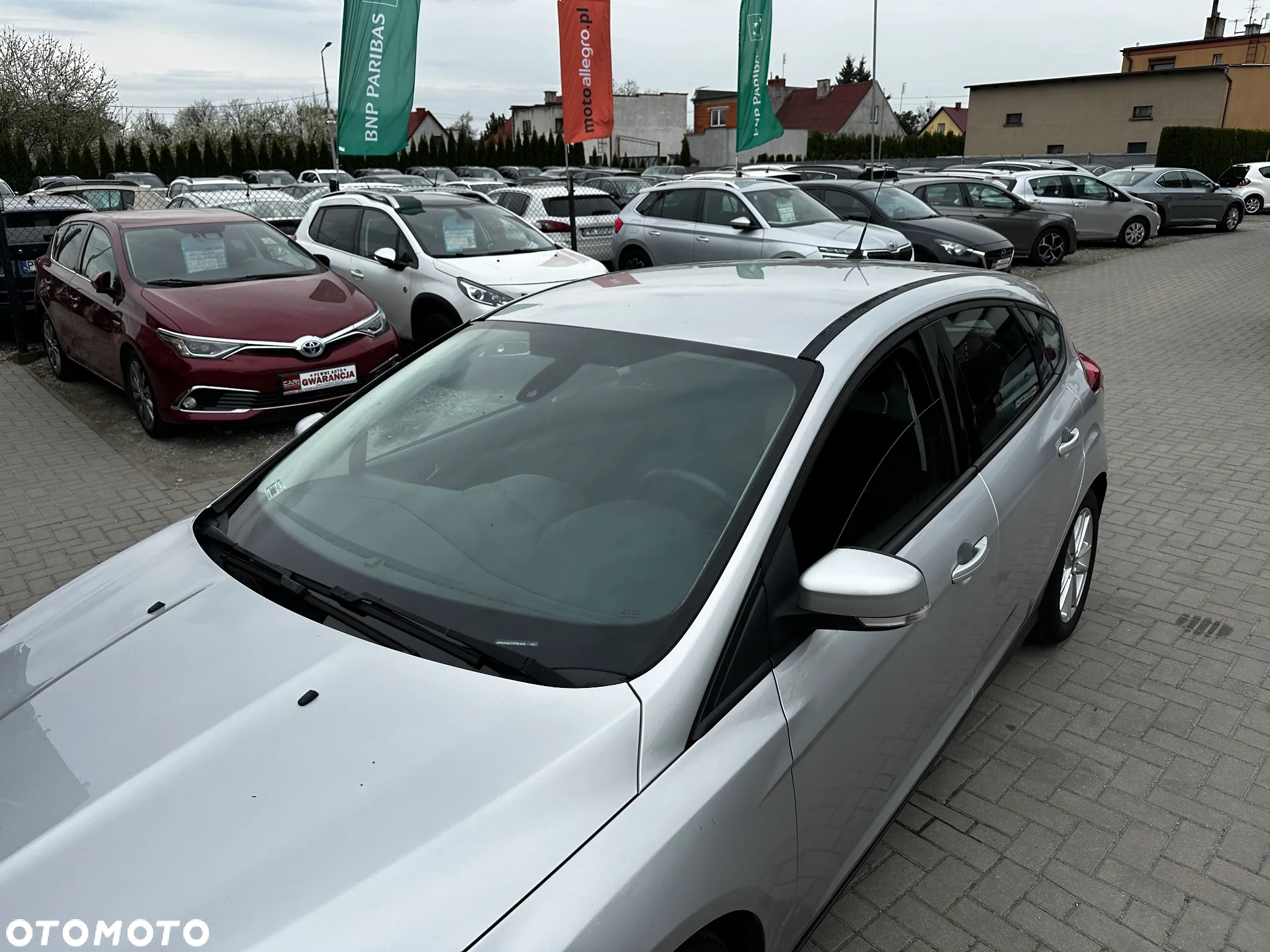 Ford Focus - 31