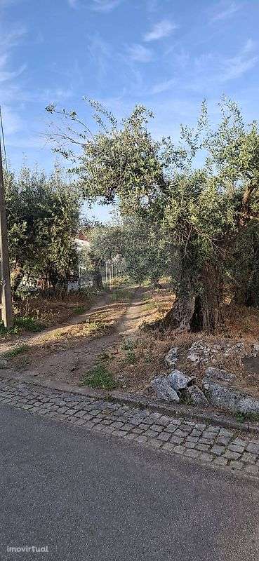 Terreno  para venda - Grande imagem: 4/7