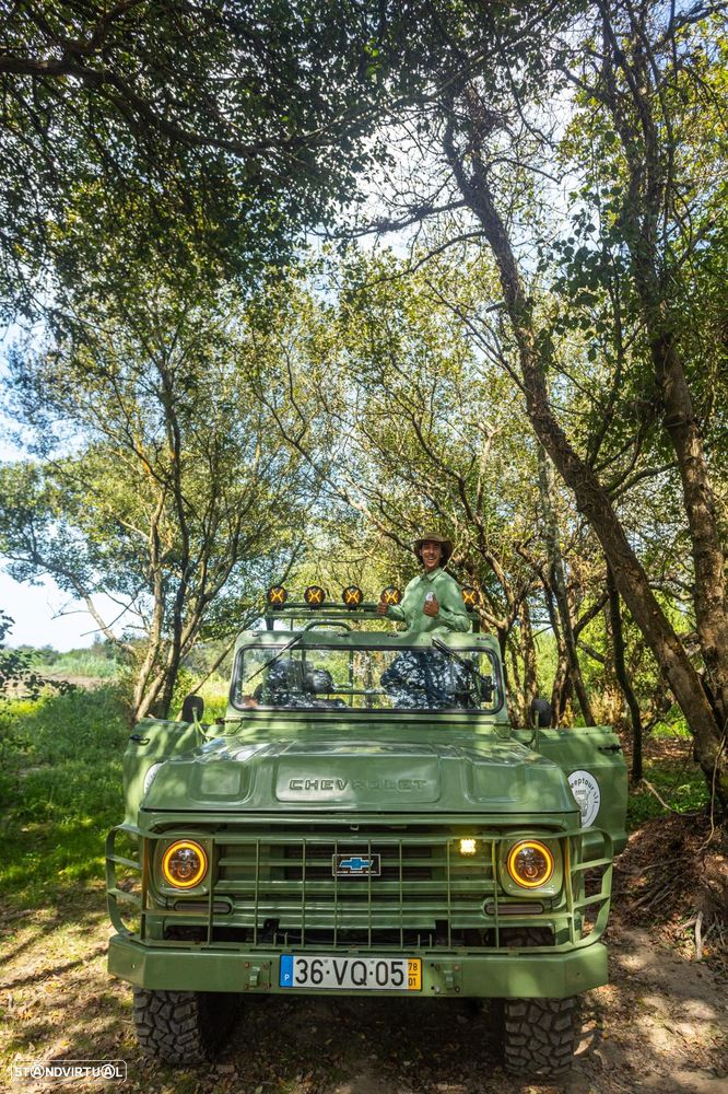 Chevrolet Truck - 3