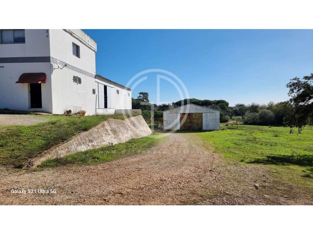 Armazém em Almancil perto da N125 - Grande imagem: 4/20