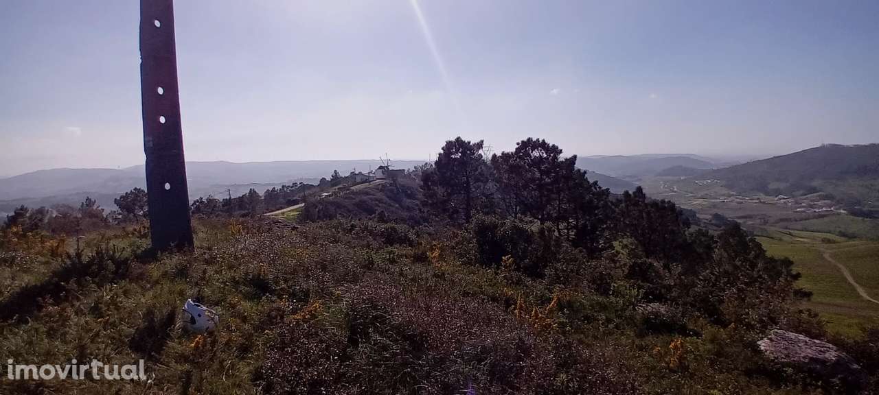 Terreno Rústico c/NASCENTE e eletricidade | 10 min Torres Vedras - Grande imagem: 2/16