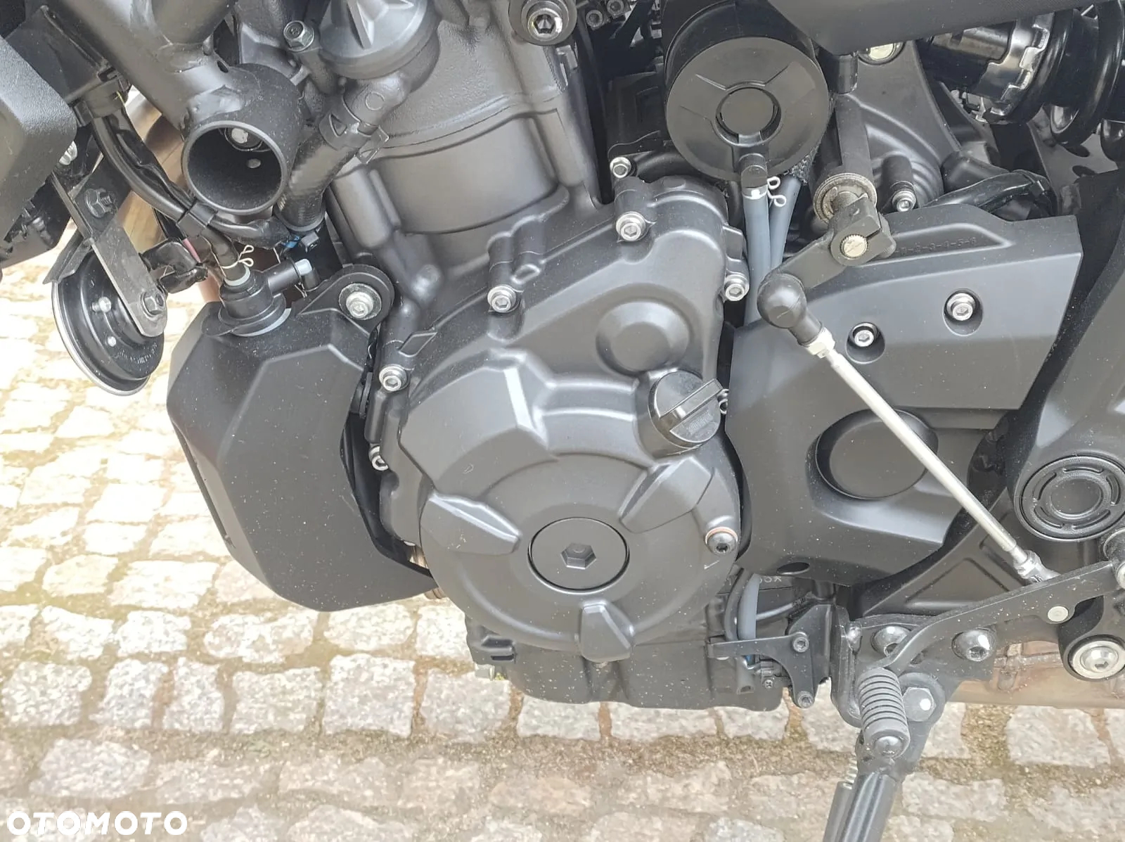 Yamaha MT - 22