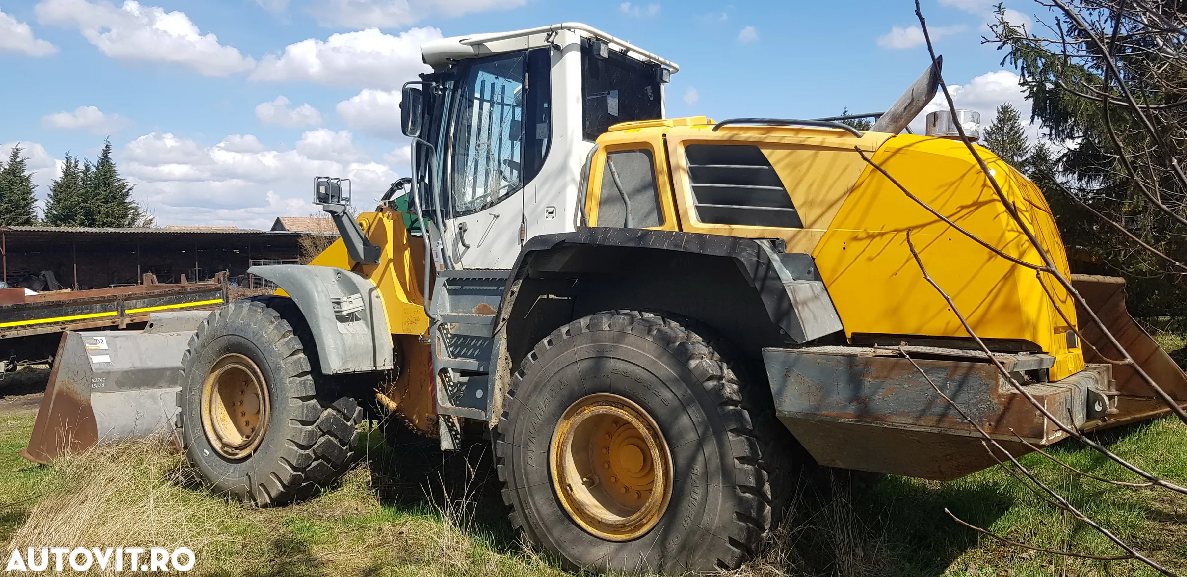 Liebherr L556 Încărcător frontal - 3