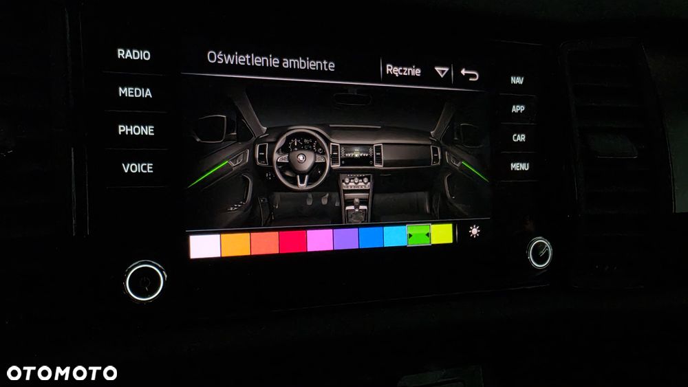 Skoda Kodiaq 2.0 Bi-TDI 4x4 RS DSG - 33