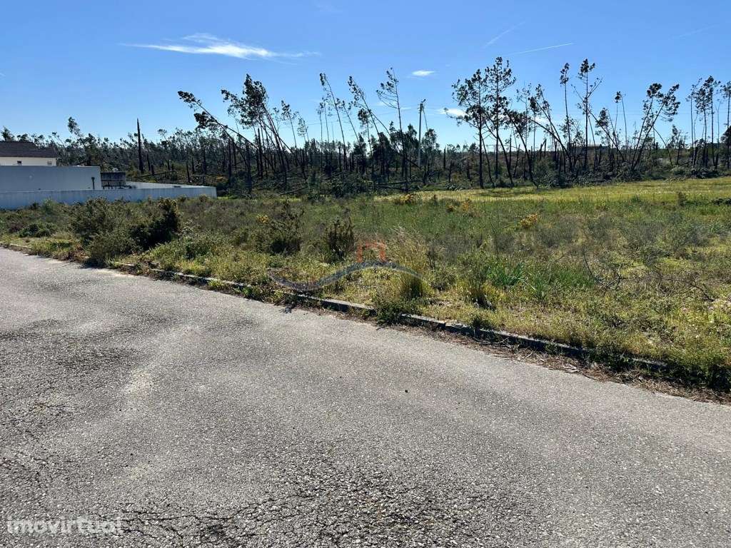 Terreno - Amor, Leiria - Grande imagem: 3/13