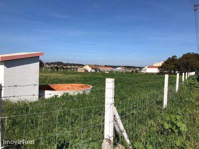 TERRENO AGRÍCOLA com 4500m2 na  QUINTA DO ANJO (PALMELA) - Grande imagem: 3/10