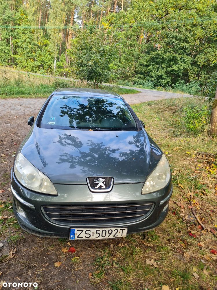 Peugeot 407 - 1