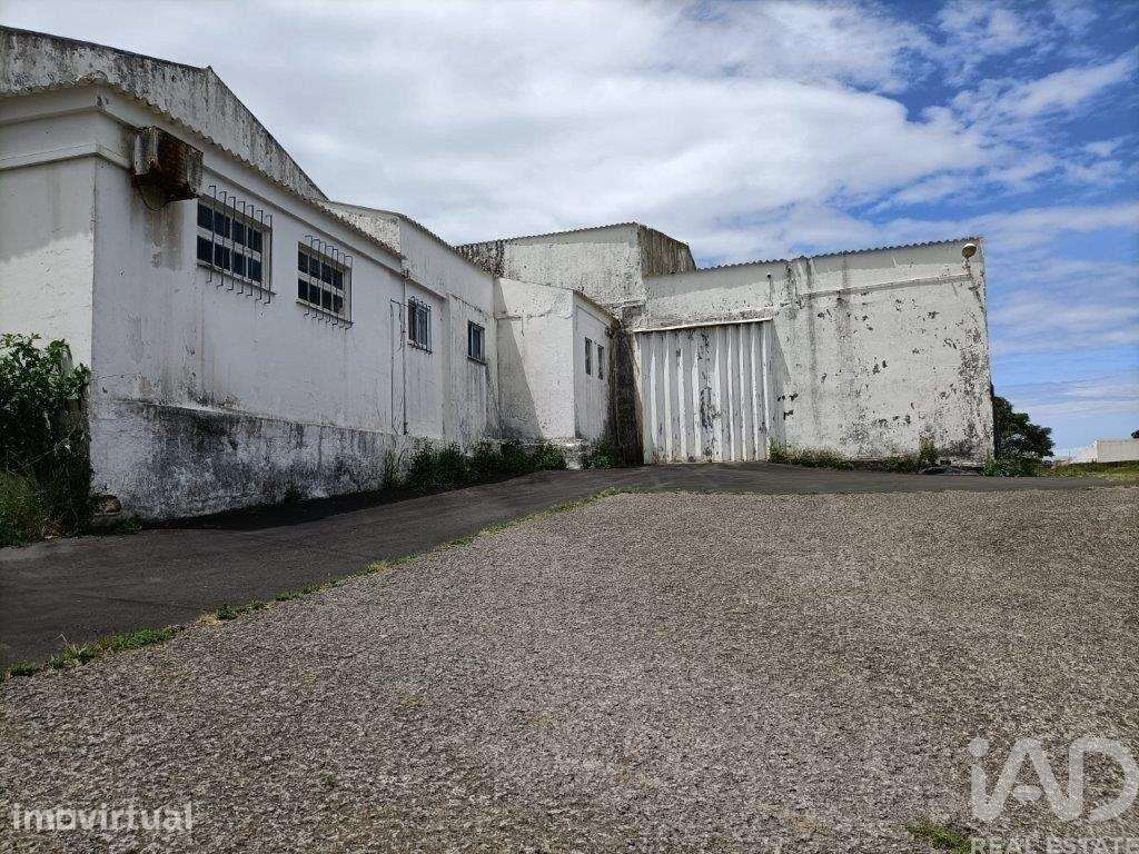 Hangar em Praia da Vitória (Santa Cruz) de 2202,00 m2 - Grande imagem: 4/17