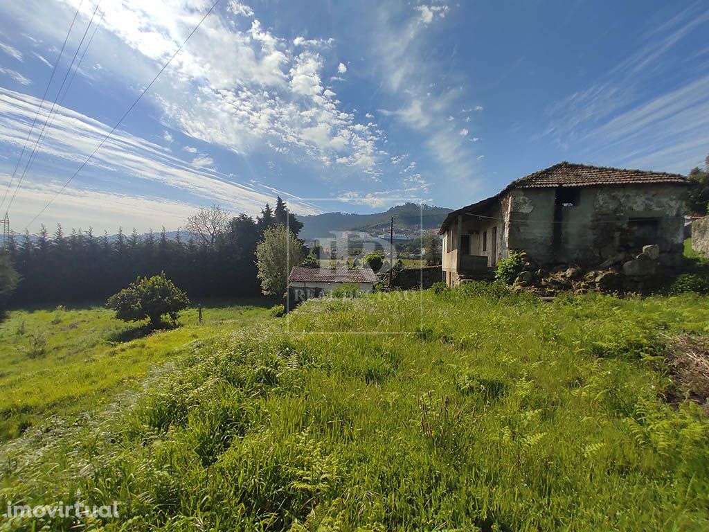 Quinta com 15000m2 em Santo Tirso - Grande imagem: 4/22