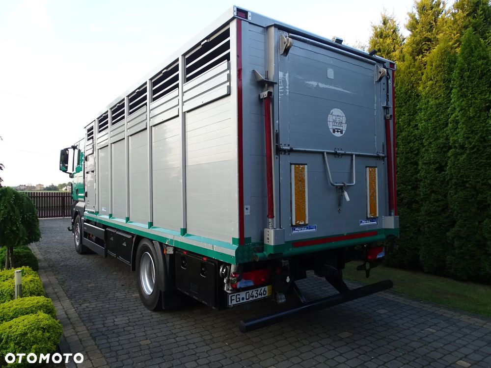 MAN TGX 18.400 DO ŻYWCA / ZWIERZĄT / BYDŁA / Z NIEMIEC / - 2