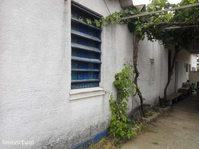 Quinta Ourique  aluguer - Grande imagem: 2/12