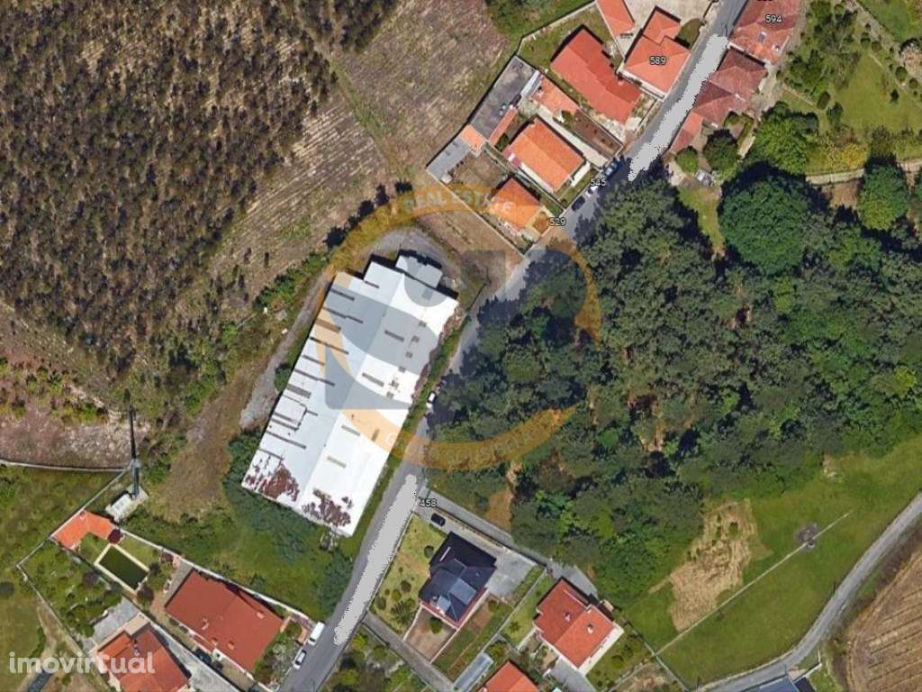 Armazém Macieira de Cambra Vale de Cambra - Grande imagem: 4/6