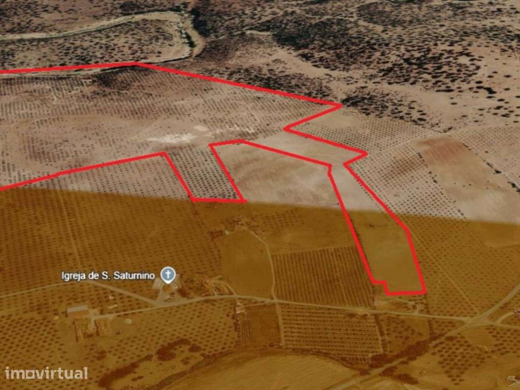 HERDADE EM PORTALEGRE FRONTEIRA - 65 HA COM 4.000 OLIVEIRAS -| OPOR... - Grande imagem: 4/10