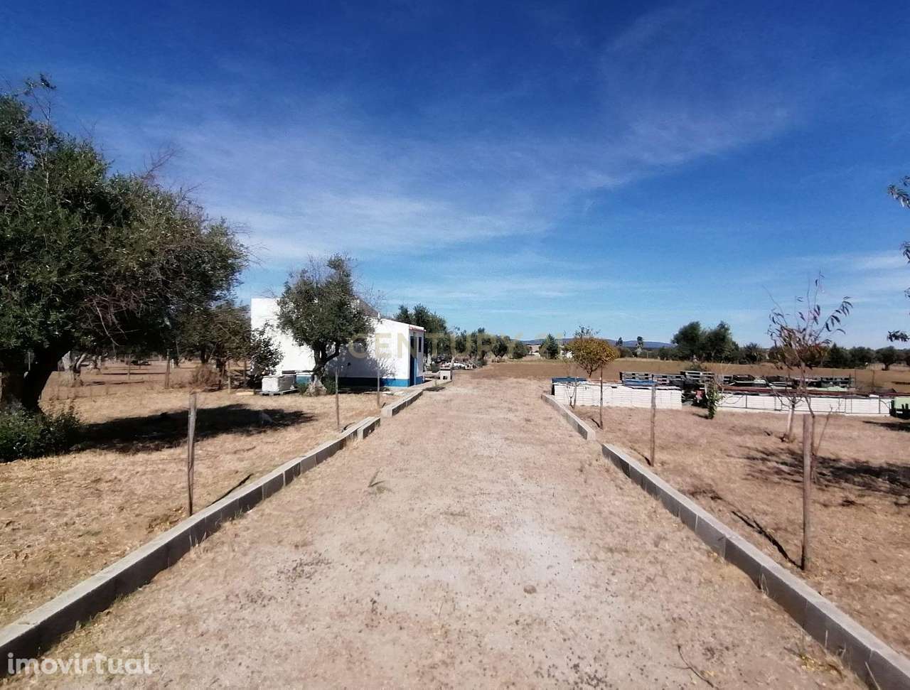 Moradia, 9 750 m², São Miguel de Machede - Grande imagem: 4/20