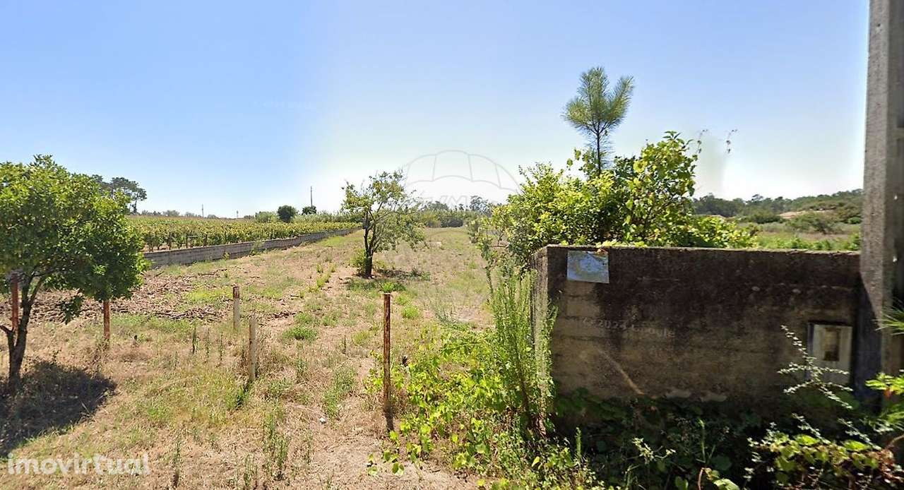 Terreno  para arrendamento - Grande imagem: 3/5