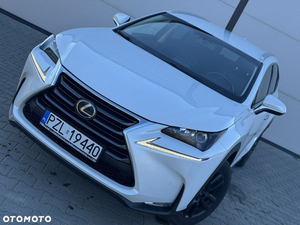 Lexus NX - 10