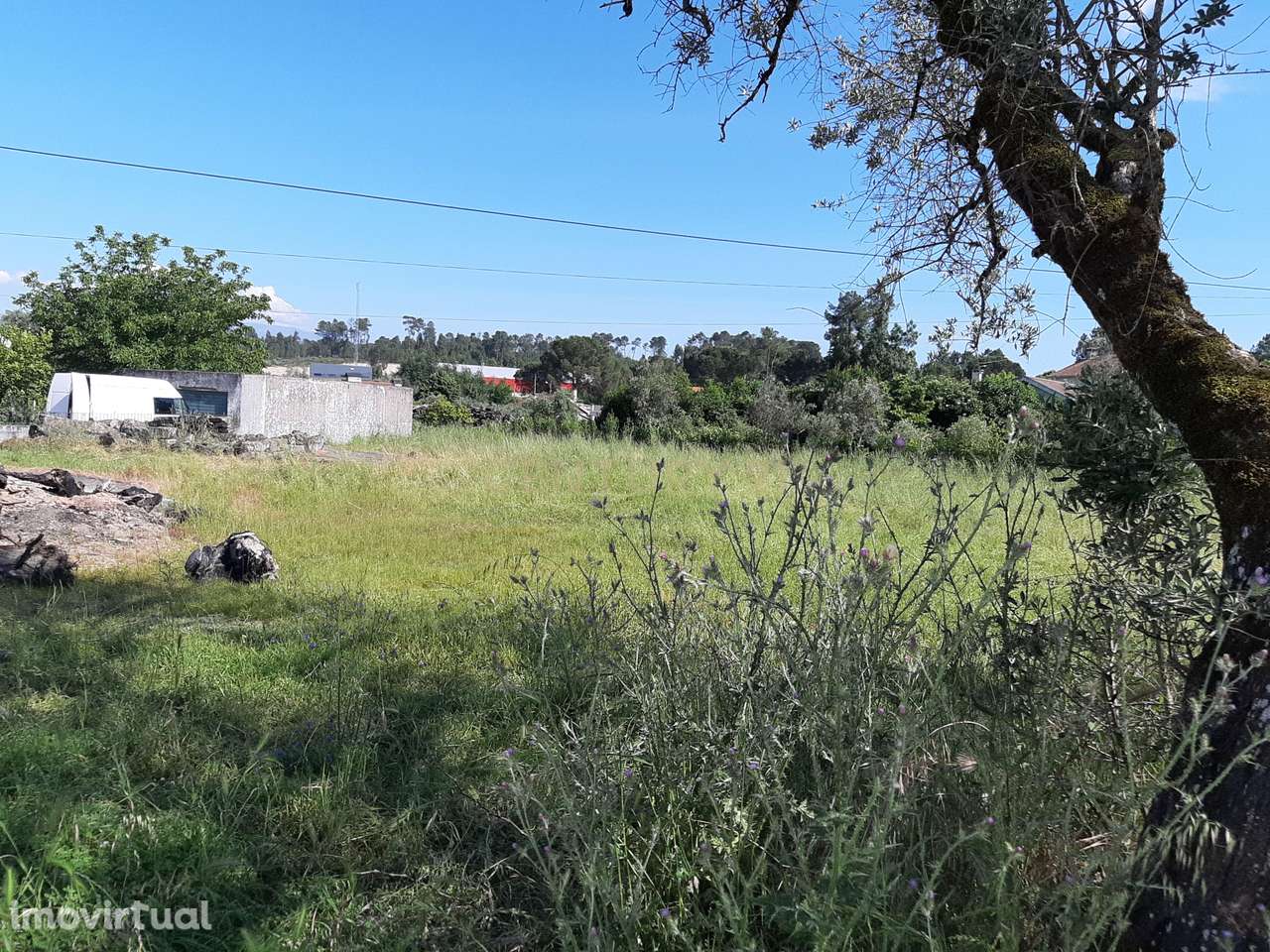 Terreno em Vale do Gamaio, Canas de Senhorim - Grande imagem: 2/6