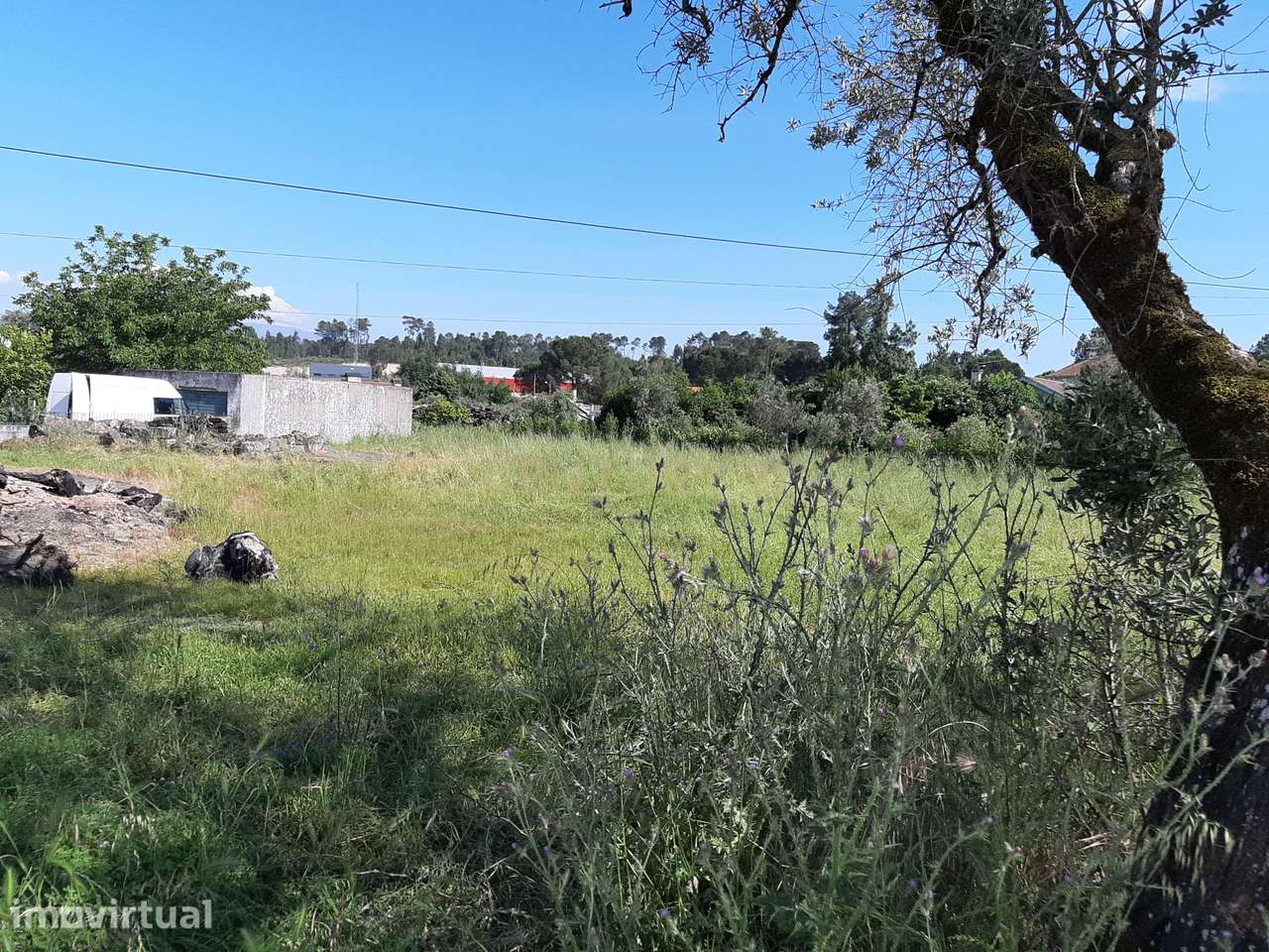 Terreno em Vale do Gamaio, Canas de Senhorim - Grande imagem: 2/6