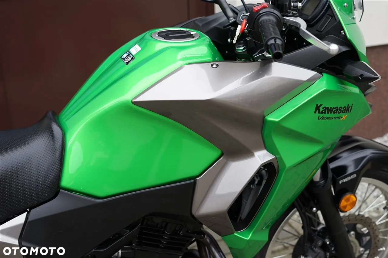 Kawasaki Versys-X 300 - 10
