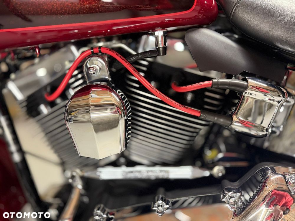 Harley-Davidson Softail - 18