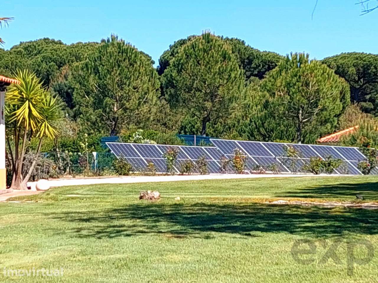 Moradia T4 mobilada com piscina em Benavente - Grande imagem: 4/38