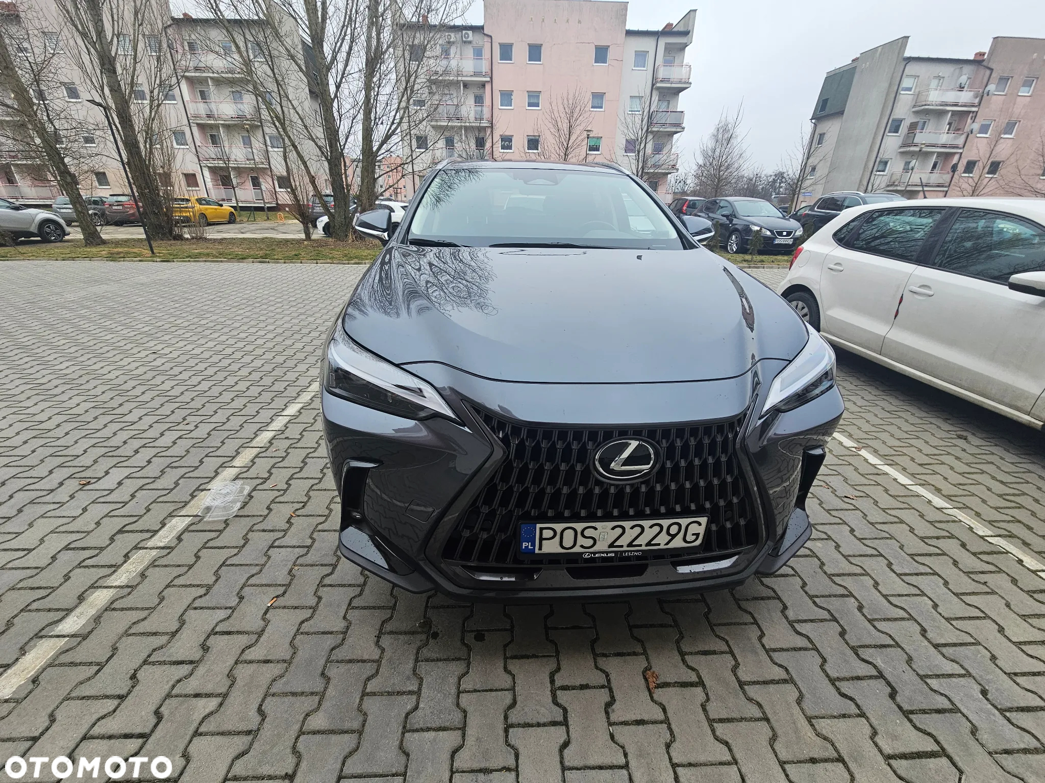 Lexus NX 350h Prestige 2WD - 3