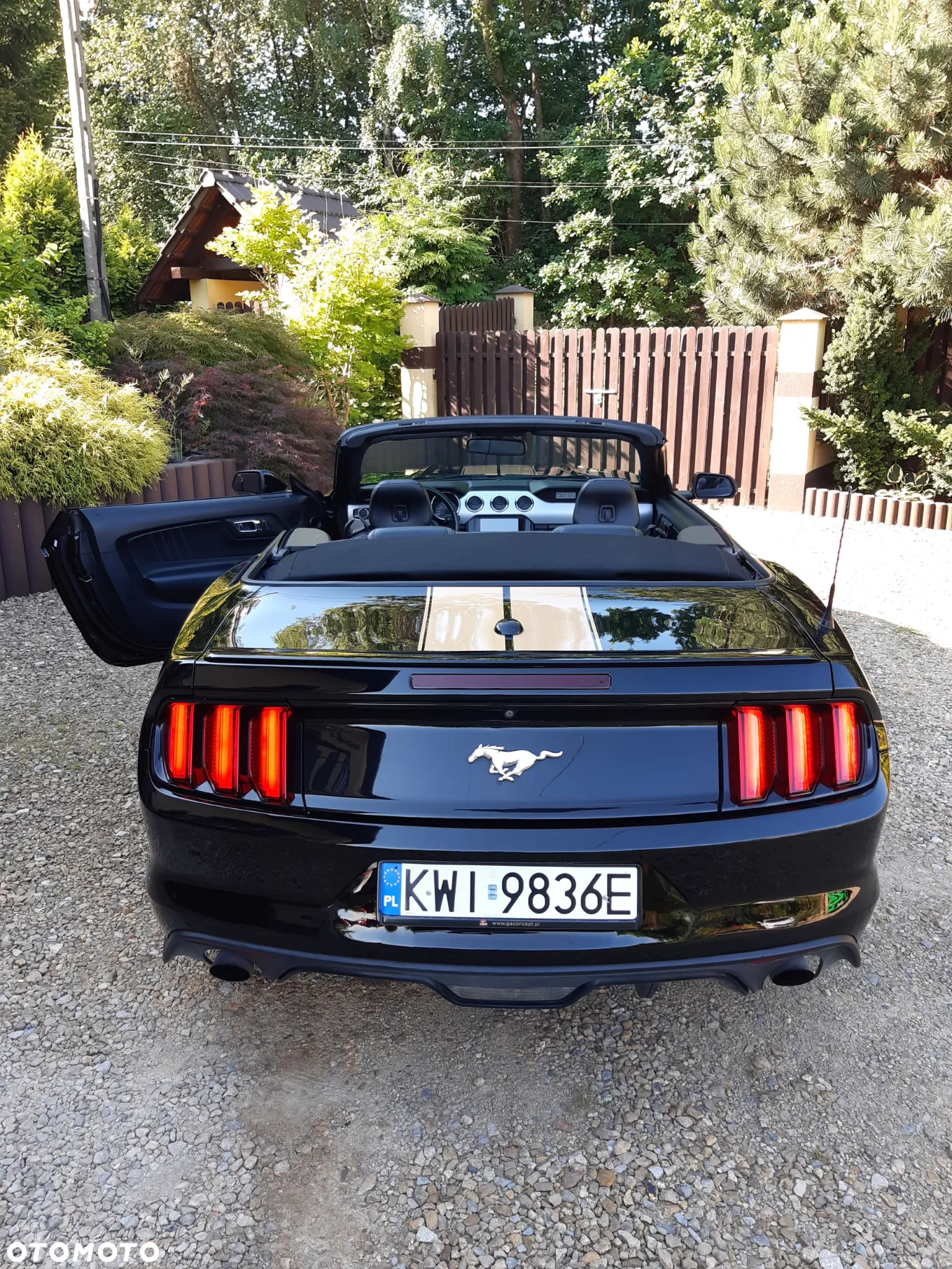 Ford Mustang Cabrio 2.3 Eco Boost - 7