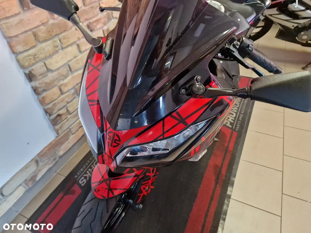 Kawasaki Ninja 300 ABS - 15