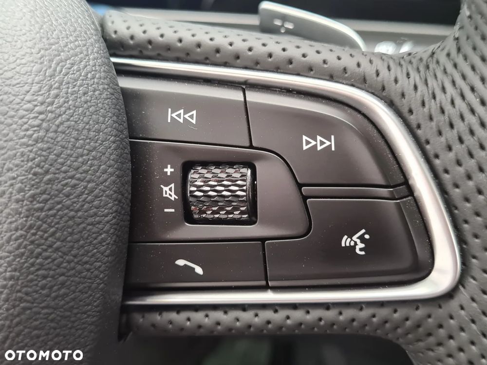 Hongqi HS5 2.0T AWD - 24