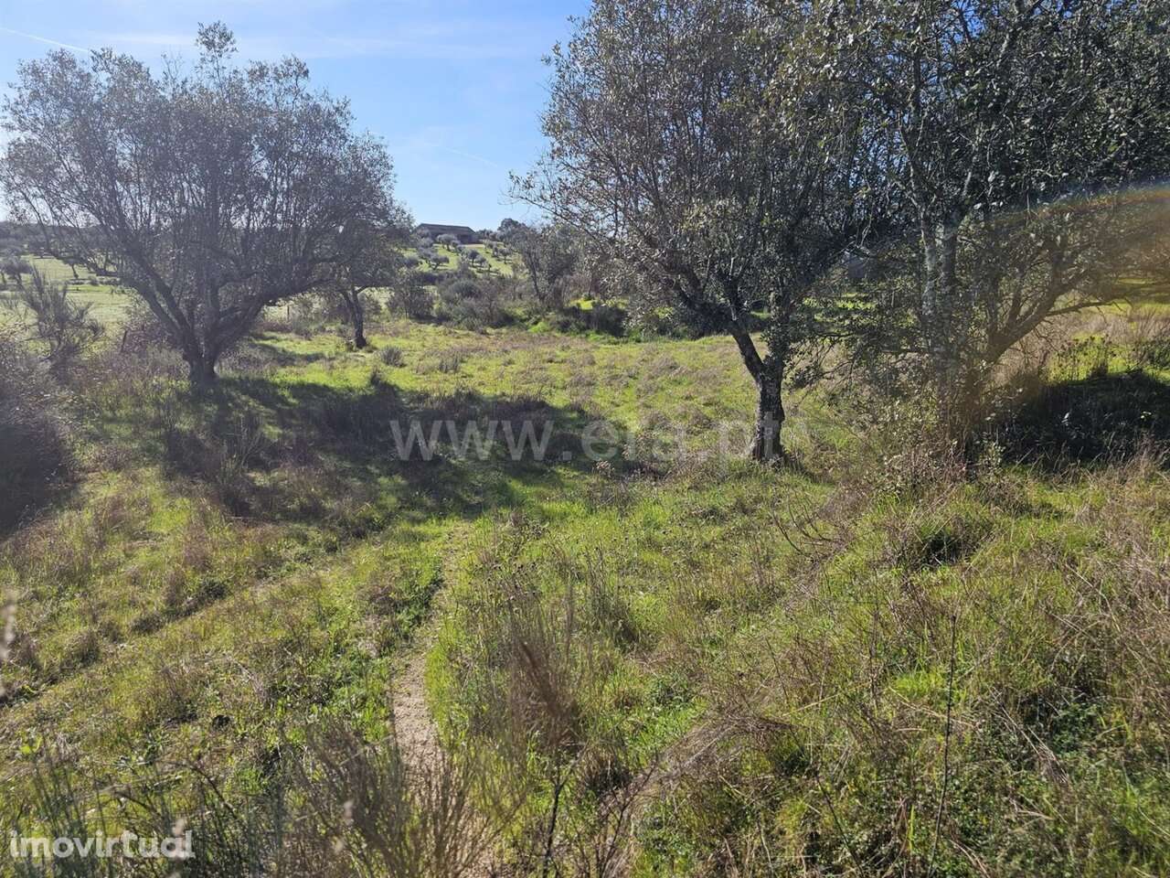 Terreno / Fundão, Orca - Grande imagem: 5/20