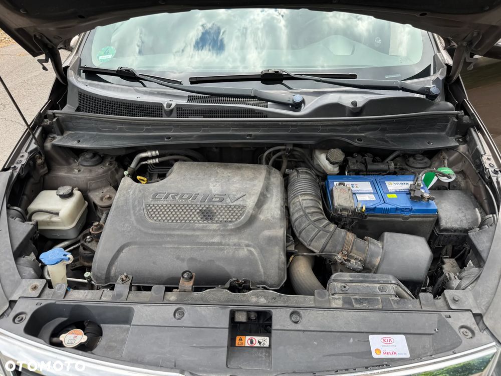Kia Sportage - 30