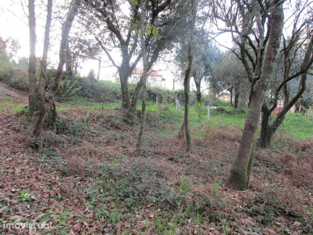Terreno c/ 1300 m2 em Fornelos - Grande imagem: 4/6
