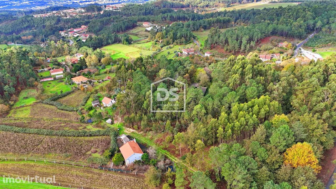 Terreno Rústico  Venda em Agilde,Celorico de Basto - Grande imagem: 4/18