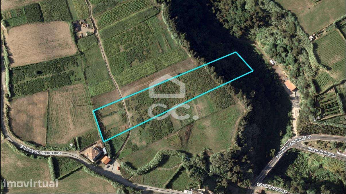 Terreno com 7140,00m2 - Água de Alto  - Vila Franca Do Campo - Grande imagem: 3/10