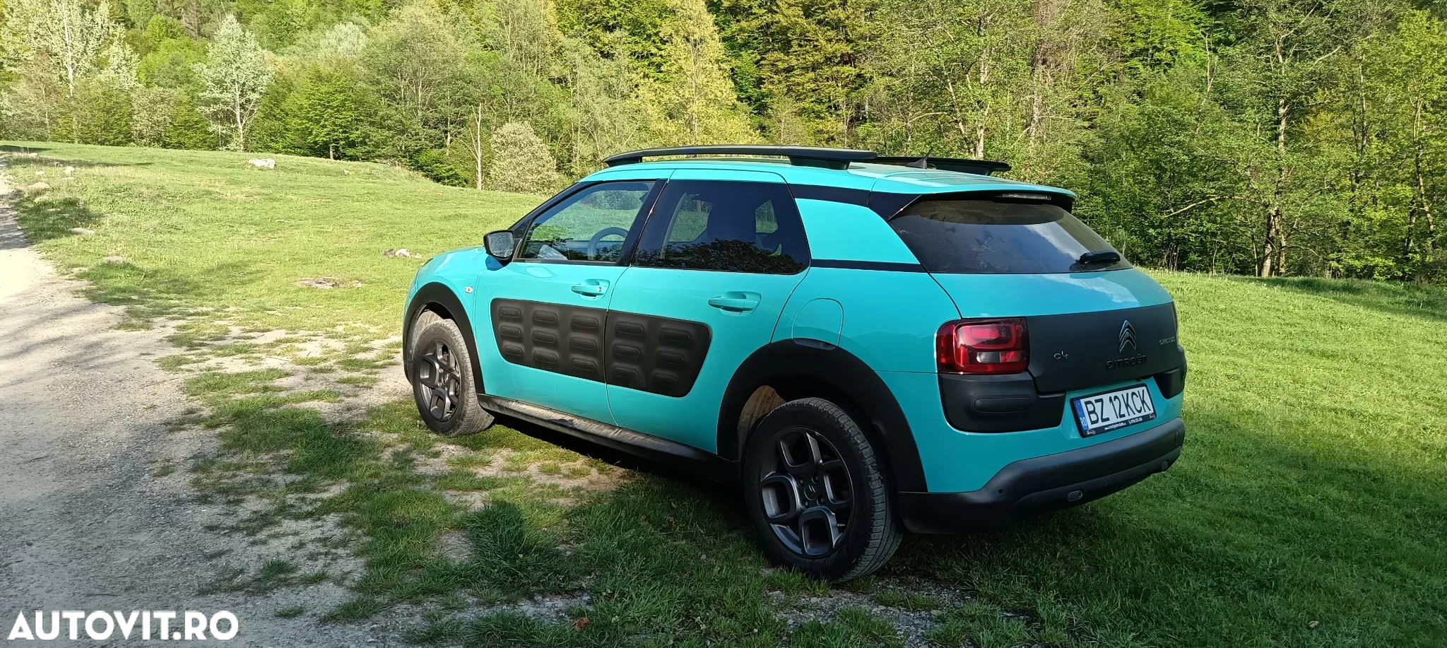 Citroën C4 Cactus BlueHDi BVM Start&Stop Shine - 4