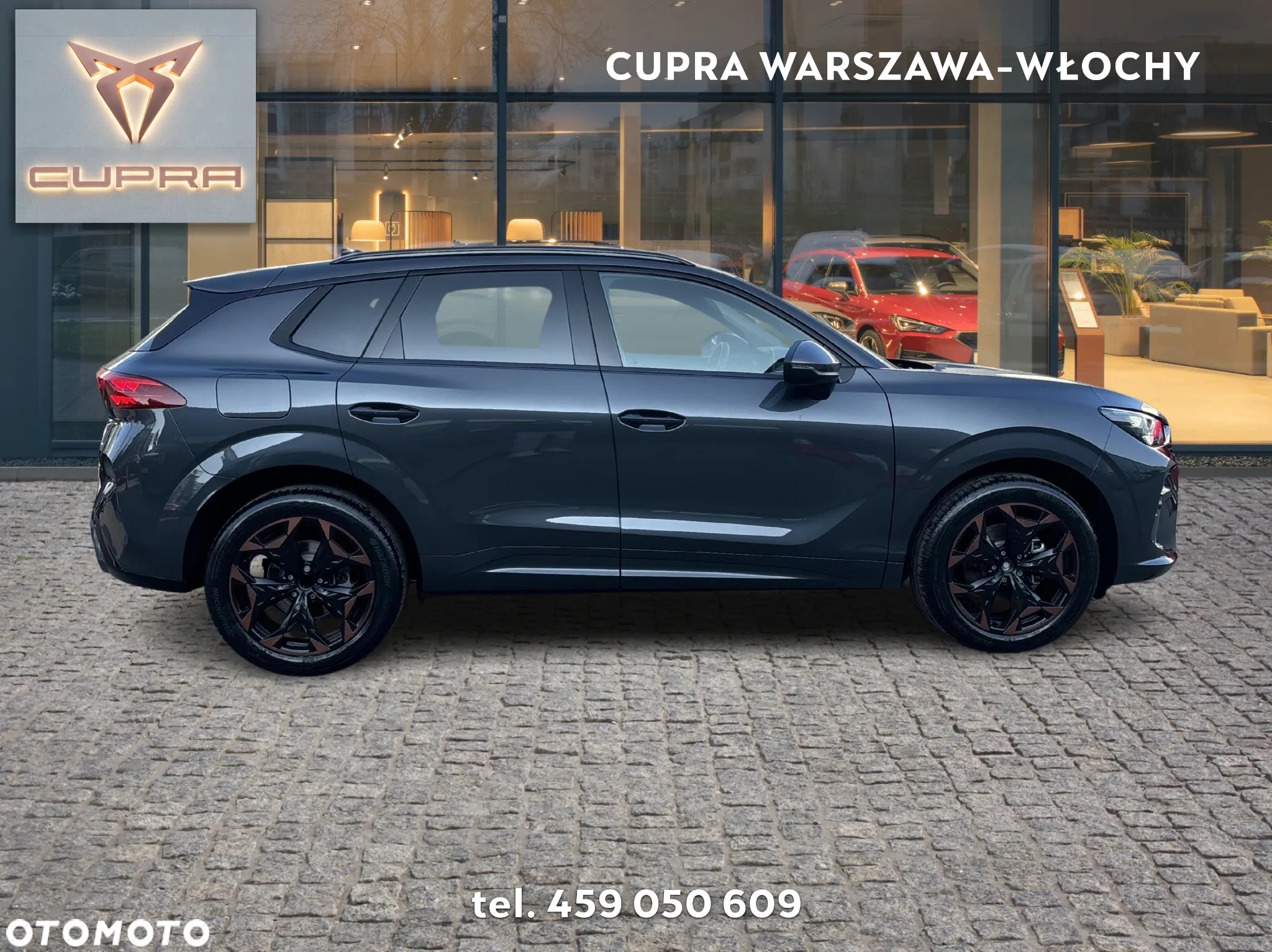 Cupra Terramar - 6