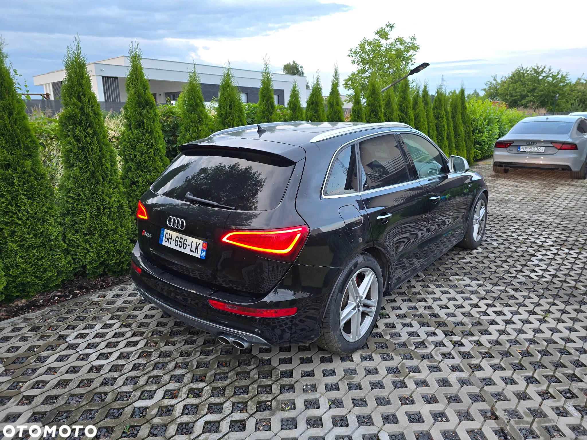 Audi SQ5 3.0 TDI Plus Quattro Tiptr - 3