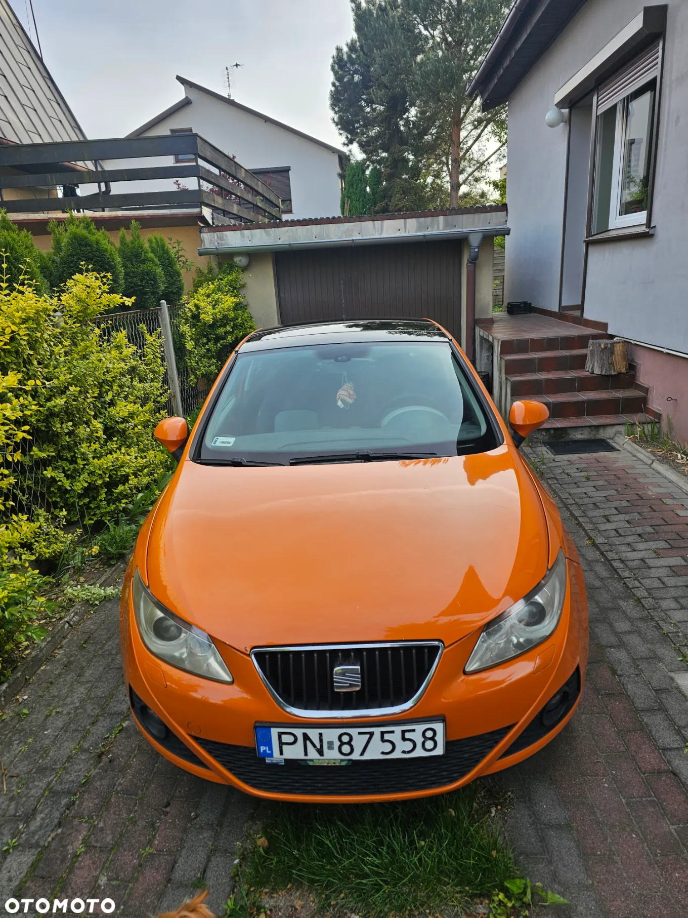 Seat Ibiza - 2