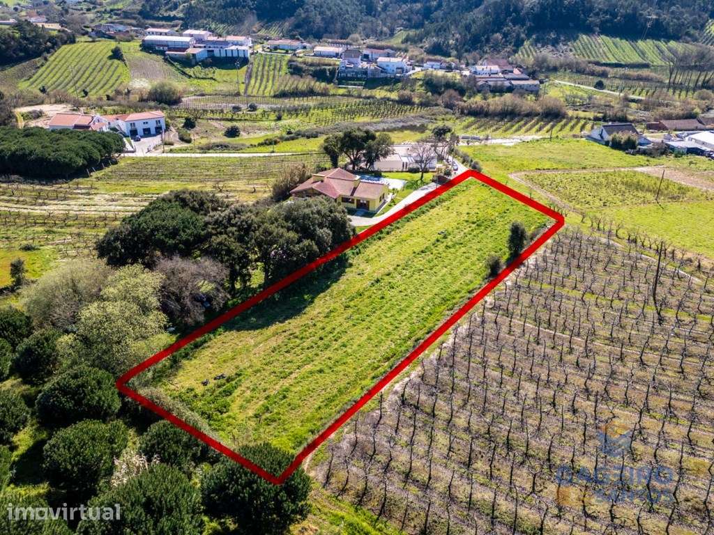 Terreno com PIP aprovado para construção de duas moradias em Alfeiz... - Grande imagem: 2/12
