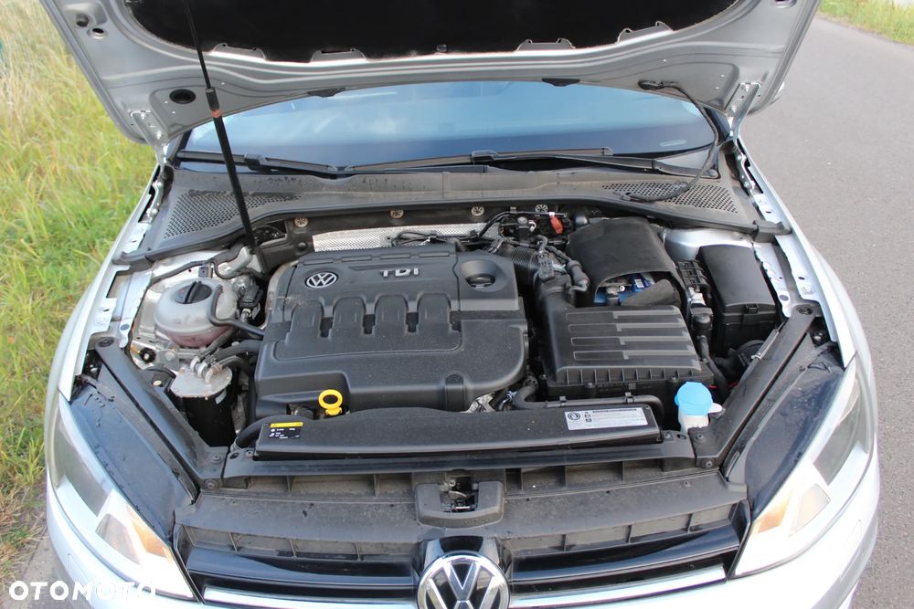 Volkswagen Golf - 25