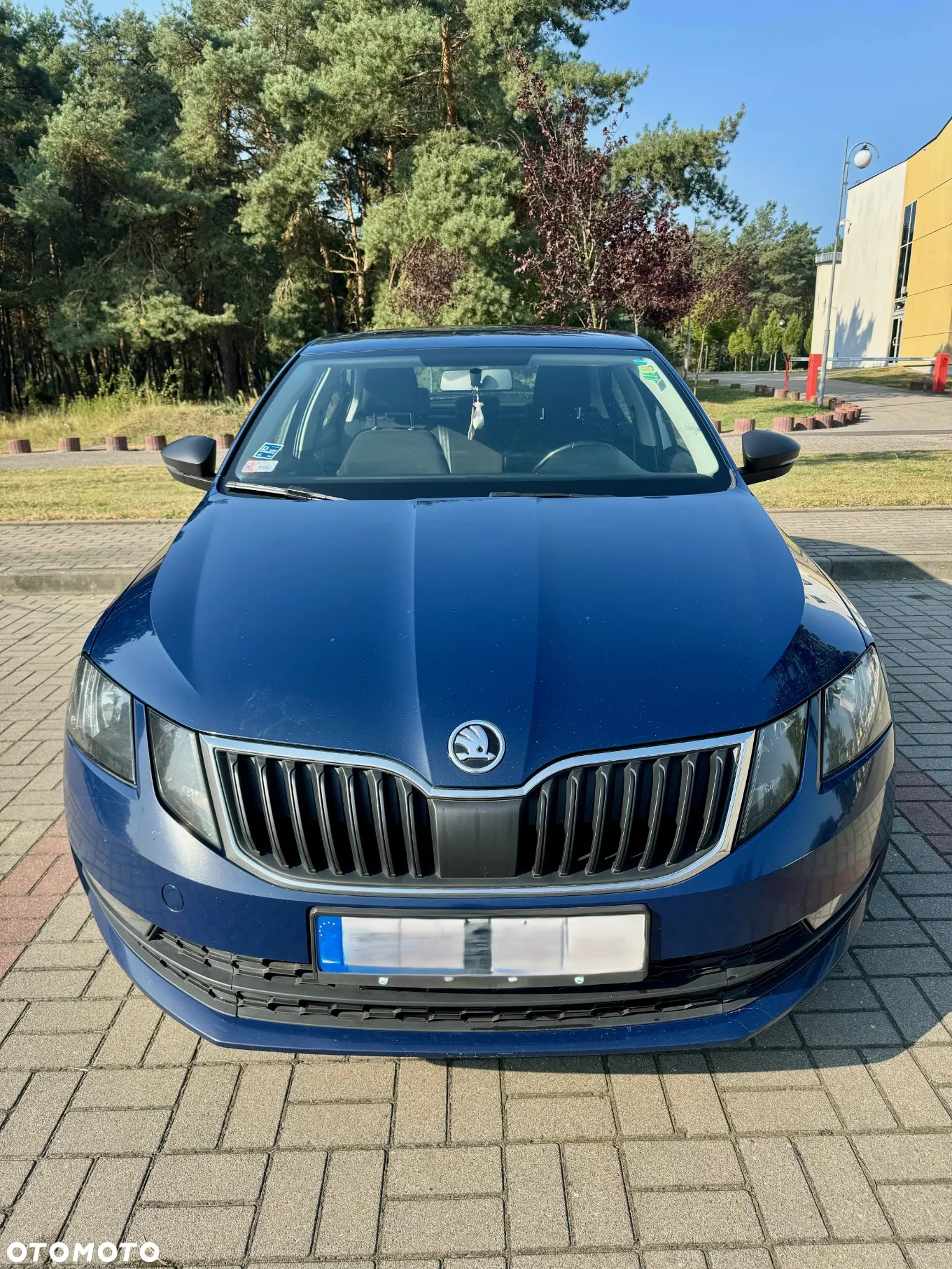 Skoda Octavia 1.6 TDI Active - 3