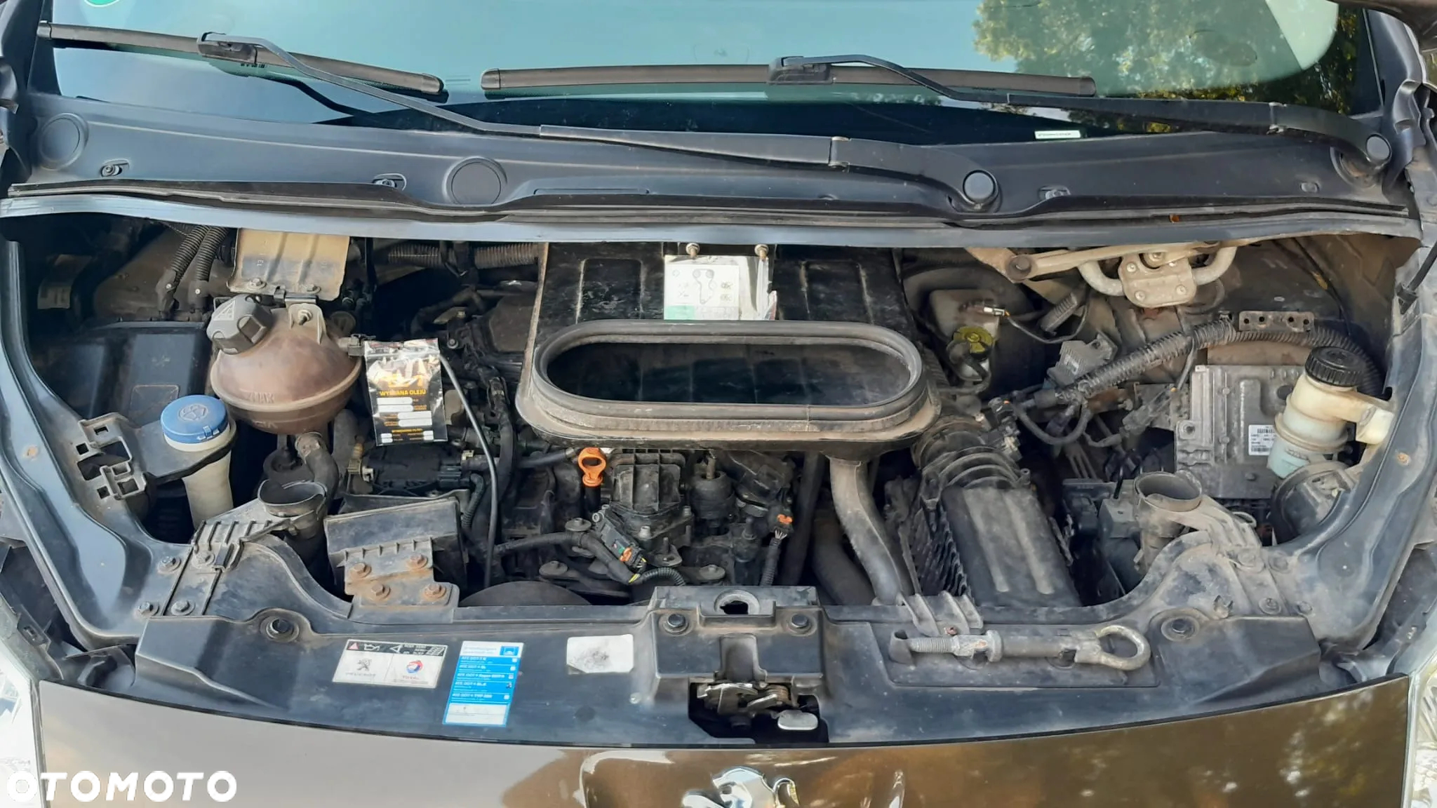 Peugeot Expert - 6